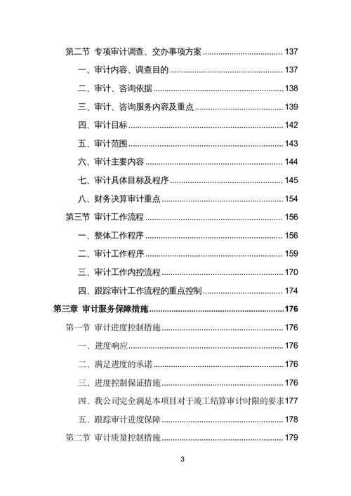 政府投资项目审计服务投标方案